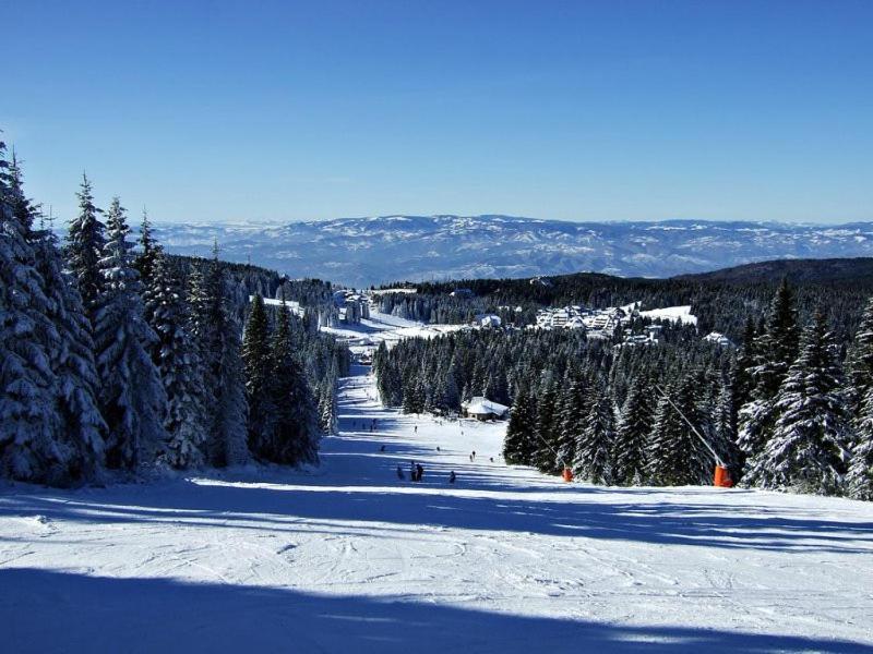L&N Apartmani Kopaonik-Milmari Resort Ngoại thất bức ảnh