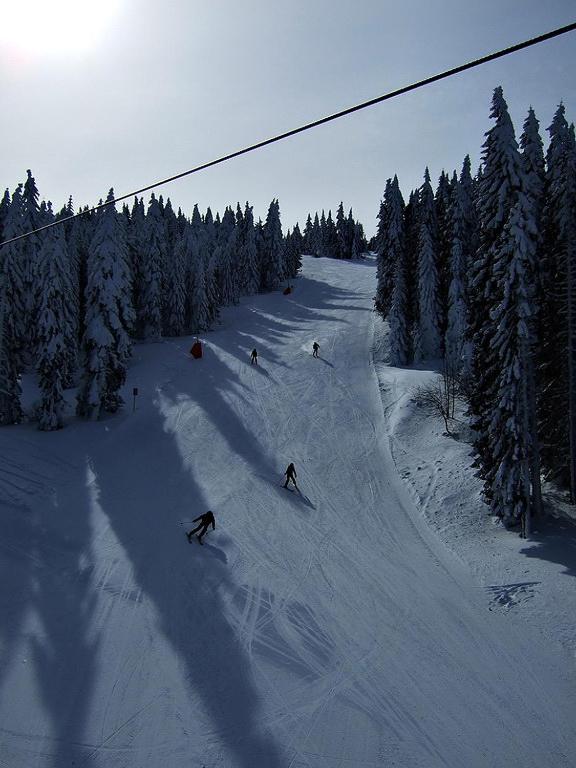 L&N Apartmani Kopaonik-Milmari Resort Ngoại thất bức ảnh
